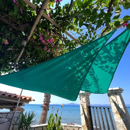 Hotel Rena In Front Of The Sea Arkoudi
